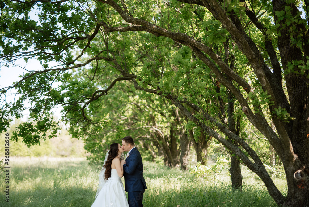 the groom and the bride are walking in the forest the groom and the bride are walking in the forest