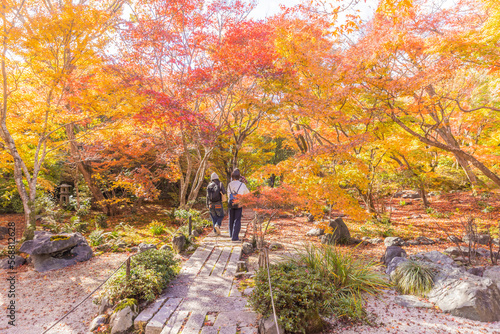 京都嵯峨野 宝筐院の紅葉