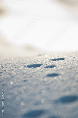 Animal tracks in winter, Snow in the mountains, details in the snow, makro