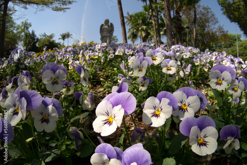 Beautiful Garden decorate at Chiang Mai Flower Festival at Suan Buak Hat in Chiang Mai, Thailand.	 photo