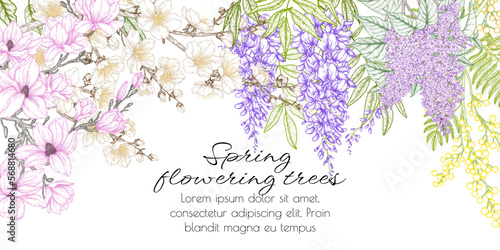Vector illustration of a spring flowering tree. Cherry blossom, wisteria, lilac, mimosa, magnolia in engraving style