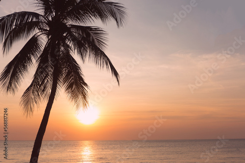 Sunset tropical sea with palm tree