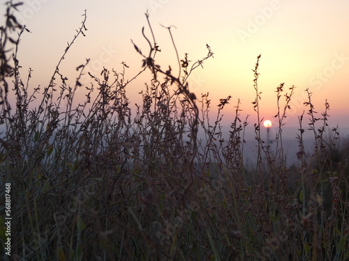 El sol juega al escondite