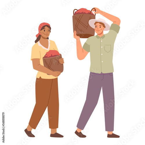 Process of coffee production, growing and transportation. Isolated people carrying baskets with beans on shoulders. Farm producers. Vector in flat style