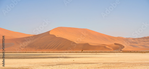 Namib Desert Dunes around Sossusvlei, HDR Image