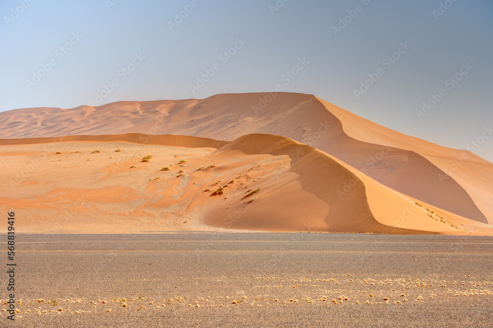 Namib Desert Dunes around Sossusvlei, HDR Image Namib Desert Dunes around Sossusvlei, HDR Image