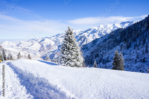 Fantastic fairytale landscape in the mountains near the city of almaty in winter snowy time. Deep trodden path in the mountains in winter, view from the path to the mountains. © Сергей Дудиков