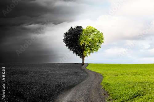 Baum in Herzform als Beispiel für den Klimawandel zu intakter Umwelt