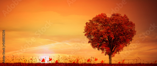 Roter  Baum in Herzform auf einer roten Wiese