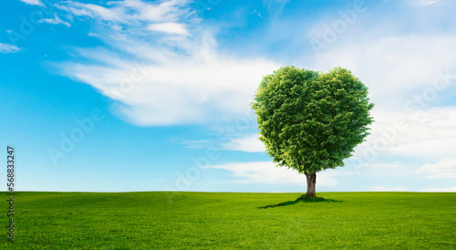 Grüner Baum in Herzform auf einer grüner Wiese