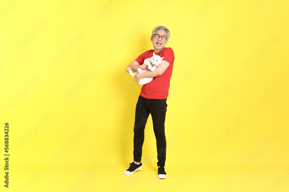 The 40s adult Asian man with casual dressed standing on the yellow background. The 40s adult Asian man with casual dressed standing on the yellow background.