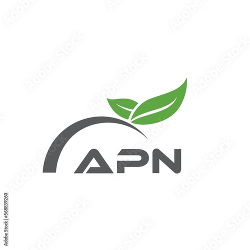 APN letter nature logo design on white background. APN creative initials letter leaf logo concept. APN letter design. photo