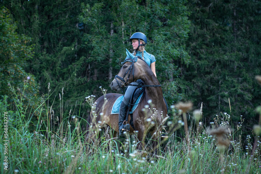 Reiten im Gelände Reiten im Gelände