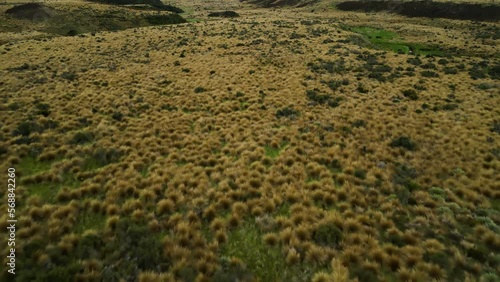 Aerial, Red Tussock Reserve in New Zealand photo