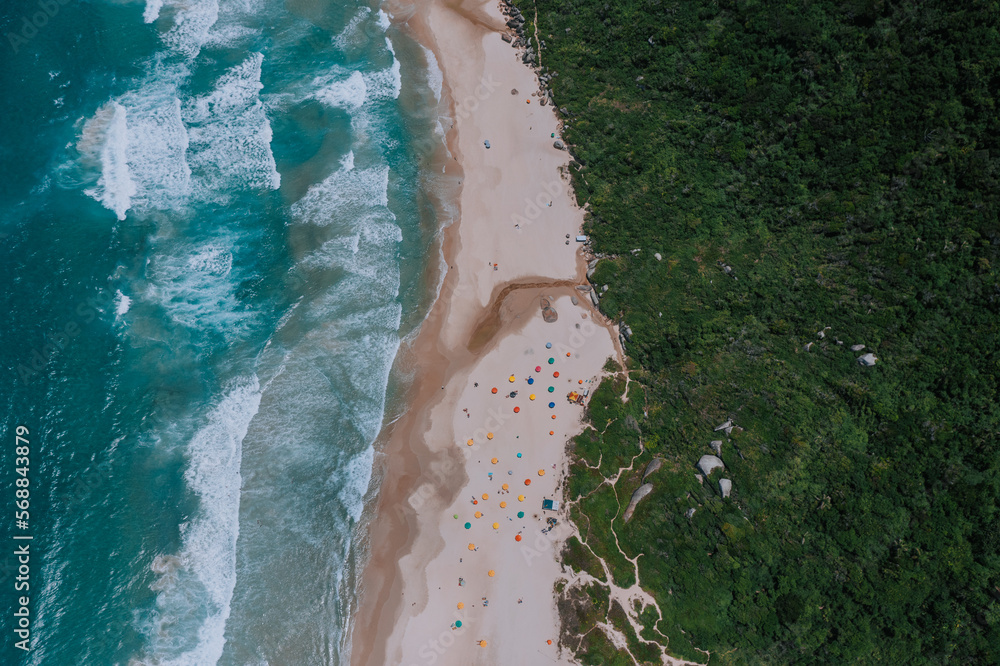 Der Strand Praia da Galheta von oben fotografiert. Viele Sonnenschirme direkt am Meer und daneben Tropischer Wald. Drohne