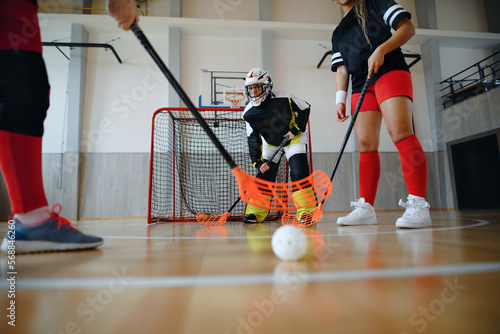 Fotografie Multigenerational woman floorball team playing together in a gym.