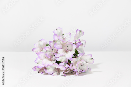 Bouquet of white lilac Alstroemeria flowers on a white table  on a grey background. Creative kind of flowers.