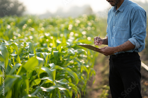 Young male farmer stands in a green wheat field with a document in his hands checking the progress of the harvest Fototapet