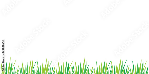 Vector green grass isolated on white background. Herbal Border, horizontal bottom edging, lawn panoramic landscape. Template, design element, illustration