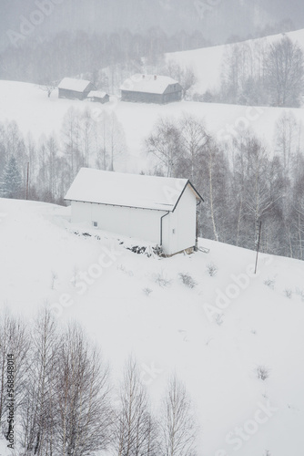 Wallpaper Mural An abundant snowfall in the Romanian Carpathians in the village of Sirnea, Brasov. Real winter with snow in the country Torontodigital.ca
