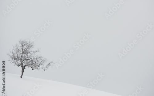 An abundant snowfall in the Romanian Carpathians in the village of Sirnea, Brasov. Real winter with snow in the country