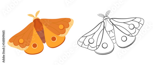 Night moth color illustration and outline. Cartoon simple illustration of night butterfly. Vector flying insect flat icon. Logo concept.