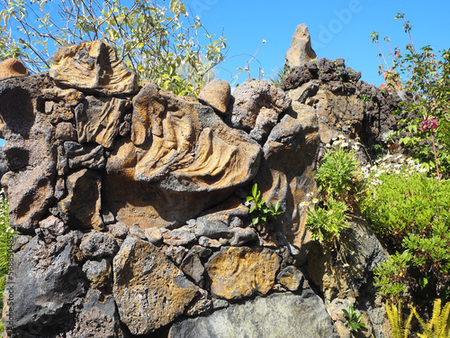 parque gómez felipe, los lianos de aridane