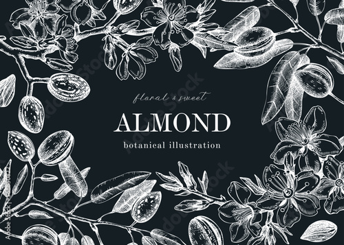 Almond blossom frame design on chalkboard. Flowering branches with nuts, flowers, leaves background. Vintage floral drawing. Botanical vector illustration of spring nut tree for banners, prints, cards
