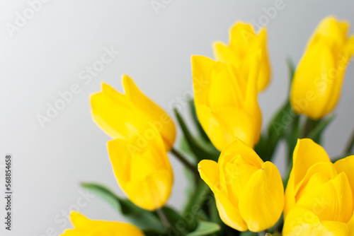 Beautiful spring bouquet of yellow tulips  festive bouquet for birthday or holiday
