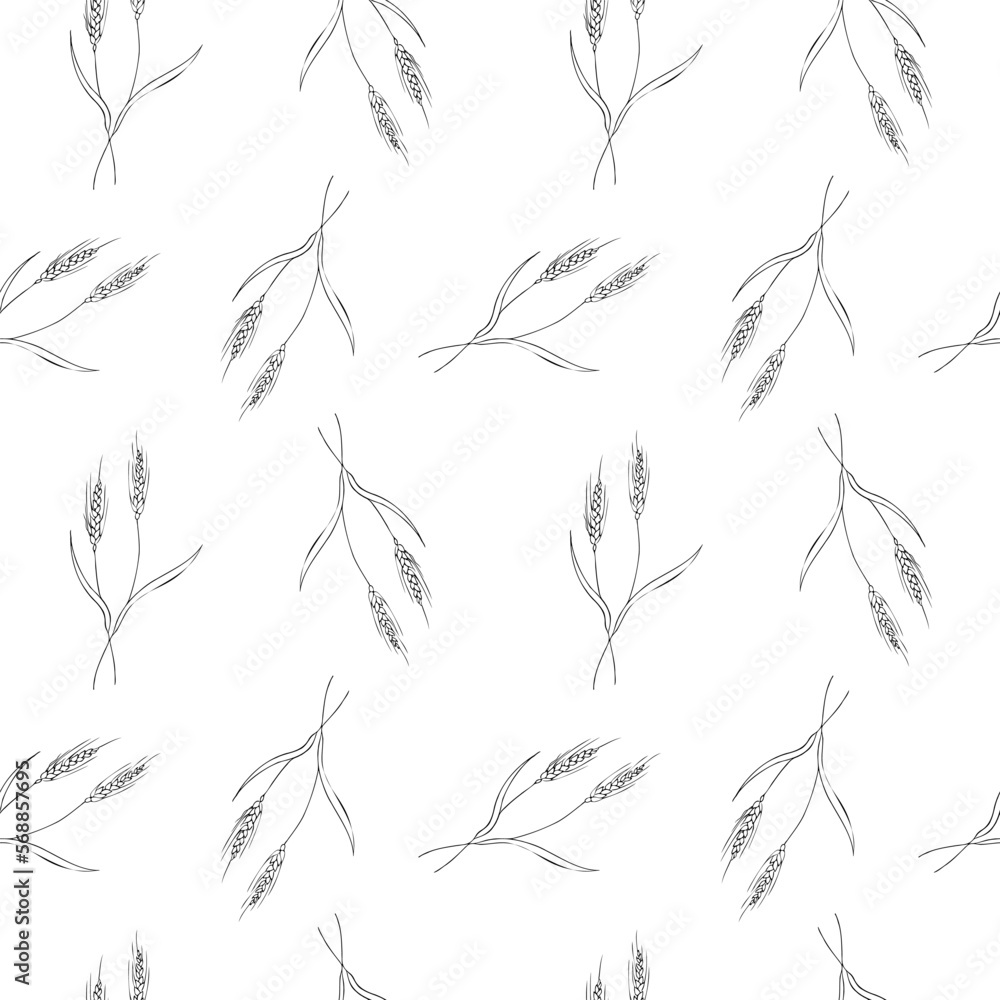 Cute seamless repeating pattern with ears of wheat on a white background. Floral ornament with an ear of wheat. Hand drawn. Delicate pattern, minimalist style, sketch