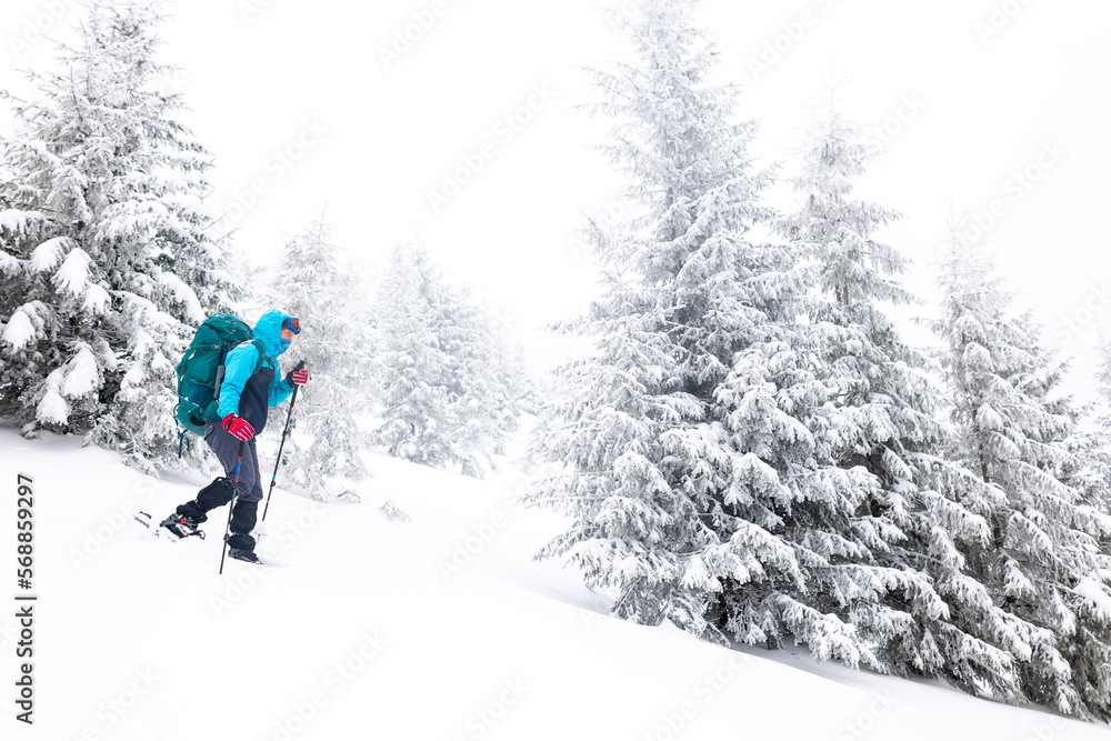 climber in snowshoes makes a winter ascent. girl with a backpack in the mountains in winter.
