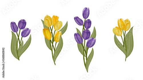 A set of yellow and purple tulips hand-painted in watercolor. Vector