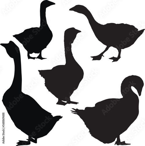 Silhouette geese set icon, SVG Vector