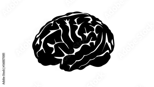 human brain silhouette