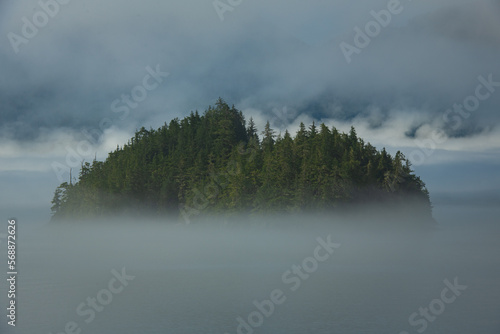Trees peeking out through thick fog in Misty Fjords National Monument Wilderness,Ketchikan Gateway, Alaska