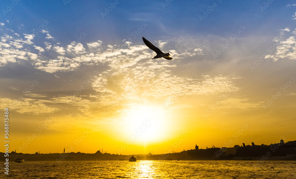 Naklejka premium Seagull flies over Bosphorus during sunset in Istanbul, Turkey.