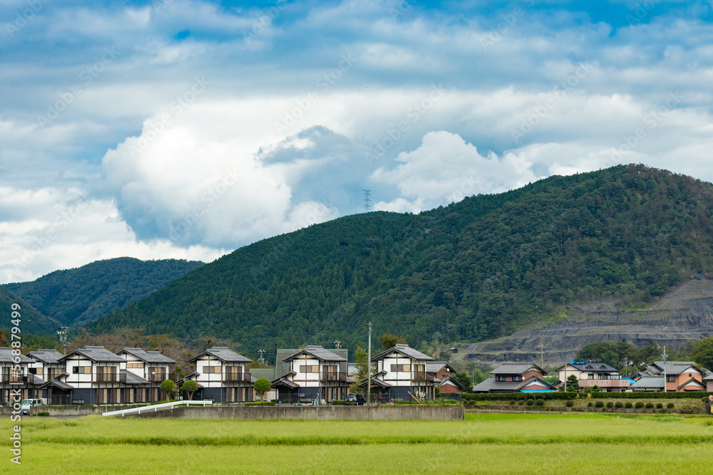 Japanese paddy field in rural area. rural japanese village Among the mountains and rice fields with a bright atmosphere.