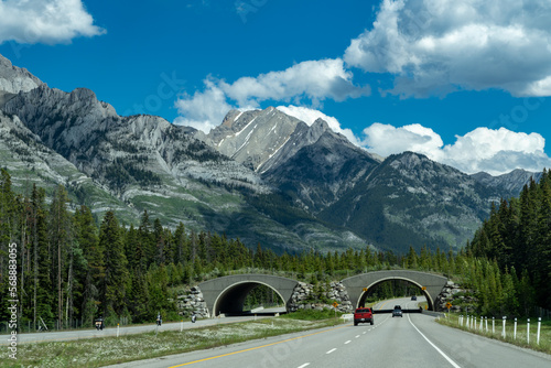 Murais de parede Trans-Canada highway in Banff National Park, showing the wildlife crossing overp