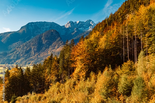 Beautiful alpine autumn or indian summer landscape shot with the Loferer Steinberge mountains in the background at the famous Loferer Alm  Lofer  Salzburg  Austria
