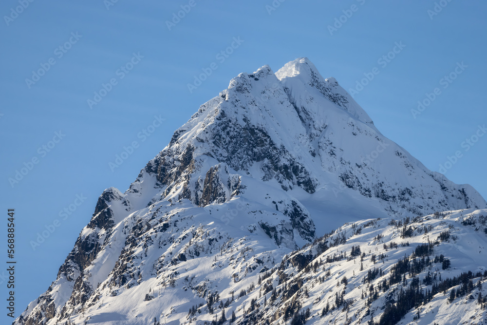 Snow covered Canadian Nature Landscape Background. Winter Season in Squamish, British Columbia, Canada. Sunny Sky