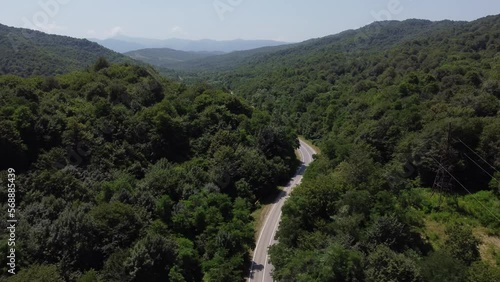 BLUE CAR DRIVES THROUGH THE FORESTS PERFECT ROUTE