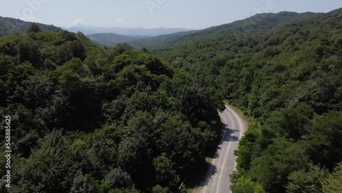 BLUE CAR DRIVES THROUGH THE FORESTS PERFECT ROUTE