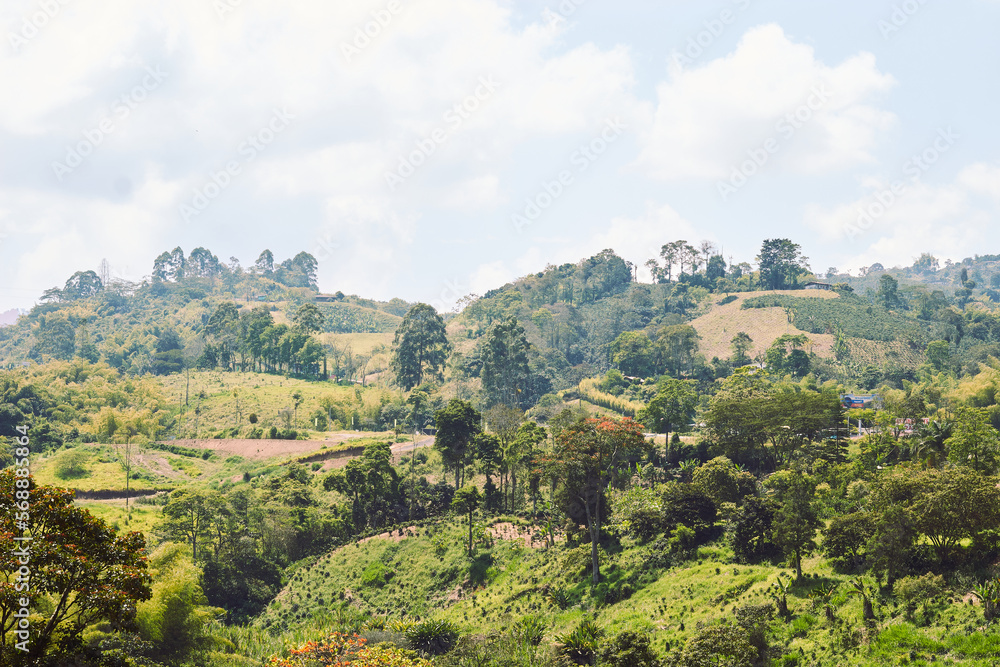 Obraz premium Beautiful coffee landscape in Chinchiná Caldas.