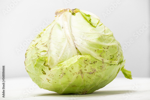 cabbage isolated on white background