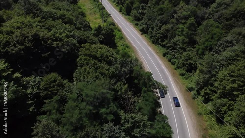 BLUE CAR DRIVES THROUGH THE FORESTS PERFECT ROUTE