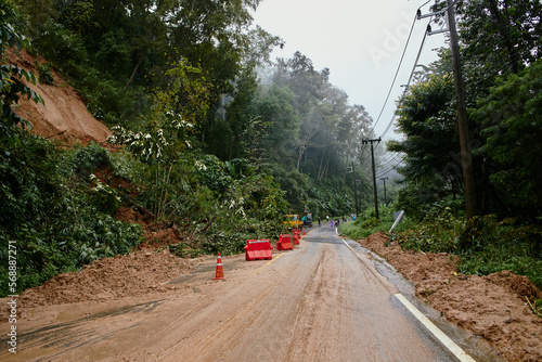 Traffic jam on a mountain road. Fallen tree tree blocking the road. Consequences of a hurricane and a skid.