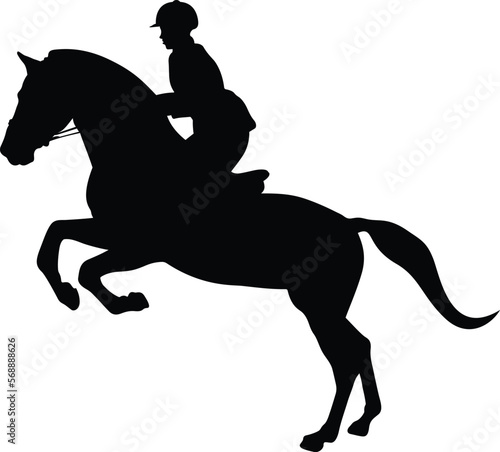 equestrian sport women rider in horse black silhouette