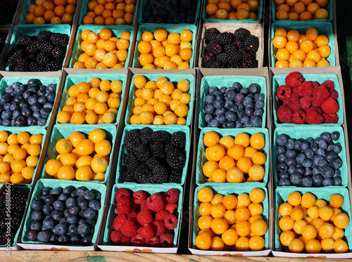 colorful berries