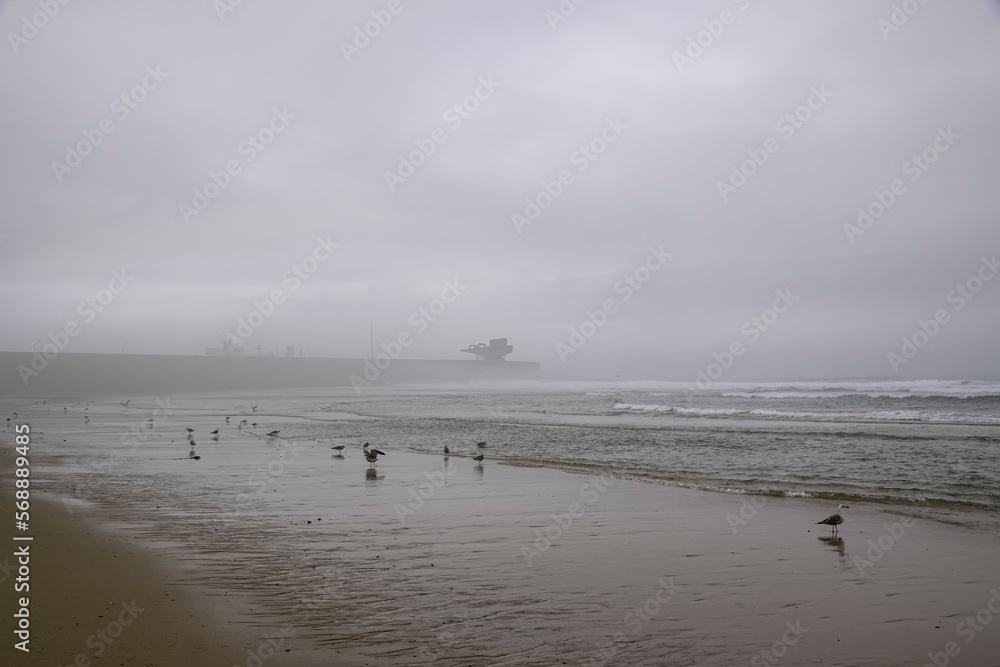 Empty beach in a misty morning
