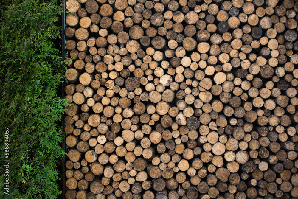 Pile of Wood Logs in Storage Area